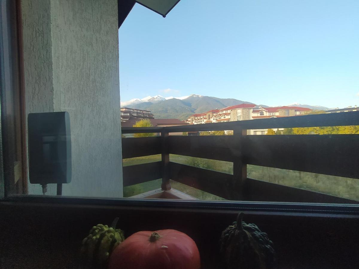 Pine Tree Studio B11 Bansko Ngoại thất bức ảnh