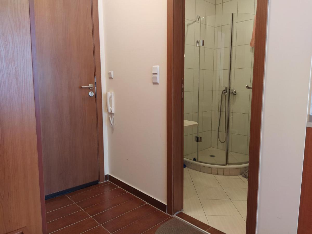 Pine Tree Studio B11 Bansko Ngoại thất bức ảnh